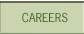 Careers